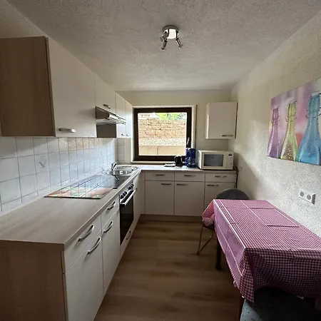 Hudolin-vermietungen Apartment Gundelsheim (Baden-Wurttemberg)